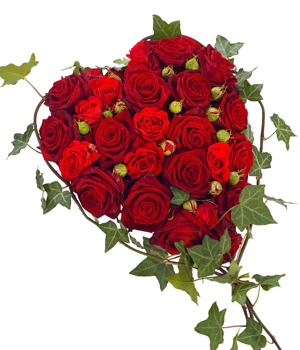 Red Rose Heart