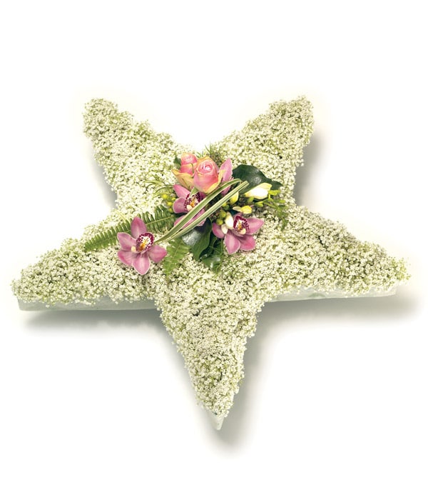 Star