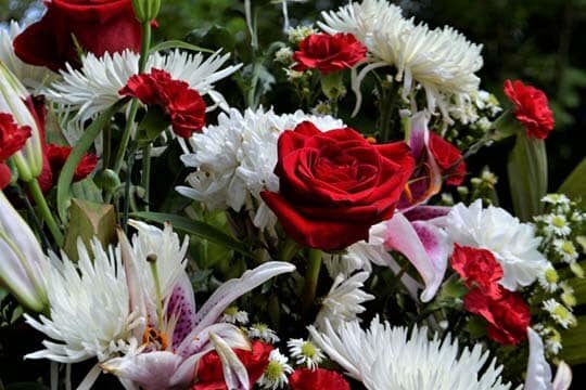 the_flower_shop_bury_florist_wedding_funeral_plants_gifts_valentines_roses_tulips_birthday_funeral_flowers