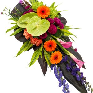 Vibrant Single End Spray